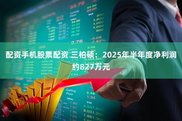 配资手机股票配资 三柏硕：2025年半年度净利润约827万元