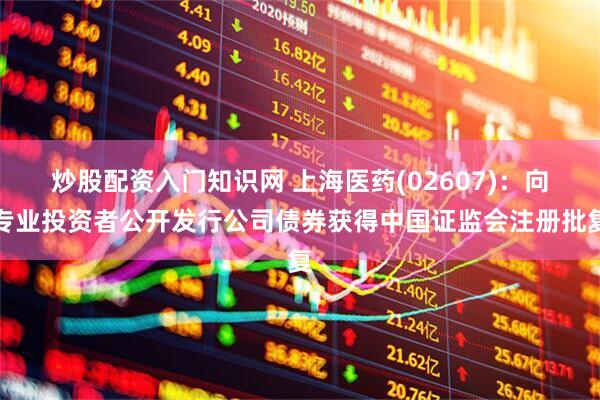 炒股配资入门知识网 上海医药(02607)：向专业投资者公开发行公司债券获得中国证监会注册批复